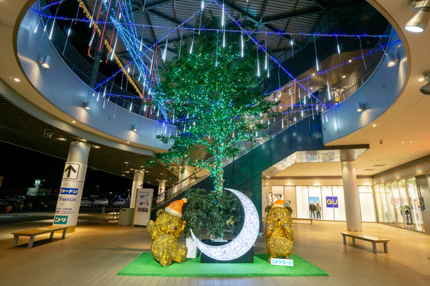 ニトリモール枚方 シンボルツリー