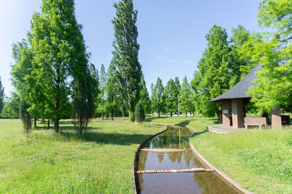 山田池公園 水遊びスポット