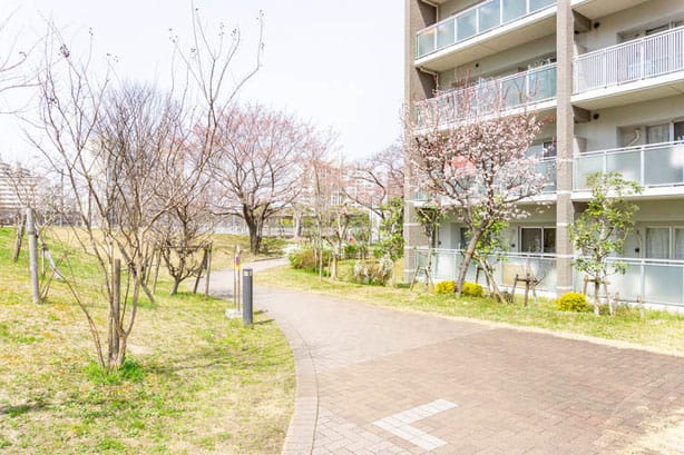 OPH千里佐竹台Ⅱ内の通りの桜