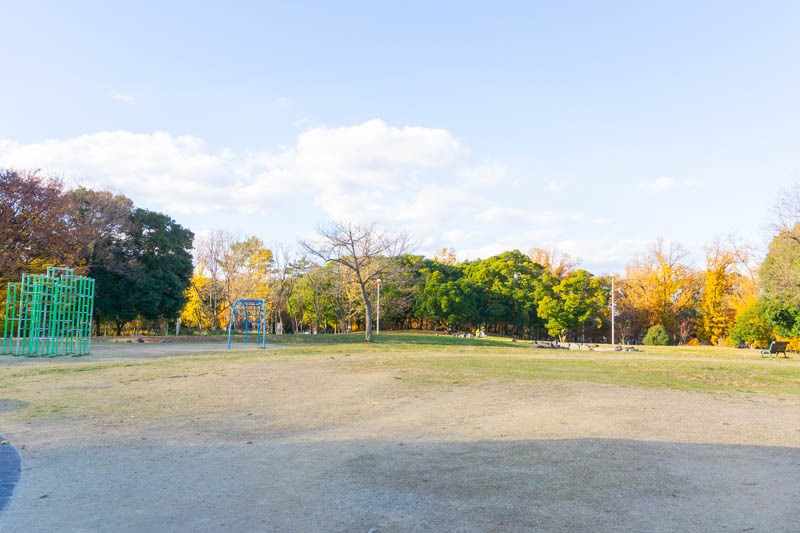 久宝寺緑地:広場