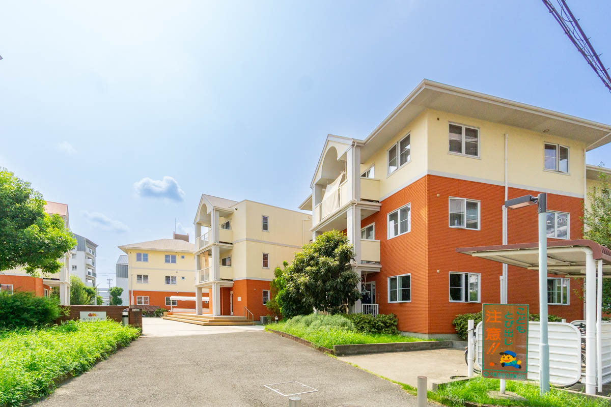 メープルコート