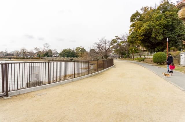 ウェーキングやランニングにも最適